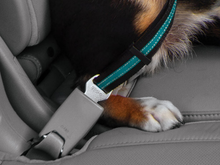 Load image into Gallery viewer, KURGO DIRECT TO SEATBELT TETHER SWIVEL
