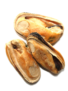 NEW ZEALAND NATURAL WOOF FREEZE-DRIED GREEN LIPPED MUSSELS 50G