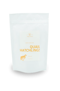 DOGGO HEARTS FREEZE-DRIED QUAIL HATCHLINGS SM 6PK