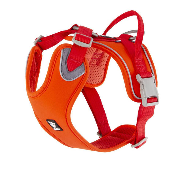 Hurtta warrior harness hotsell