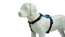 Load image into Gallery viewer, BLUE9 BALANCE HARNESS BUCKLE NECK SKY BLUE MEDIUM
