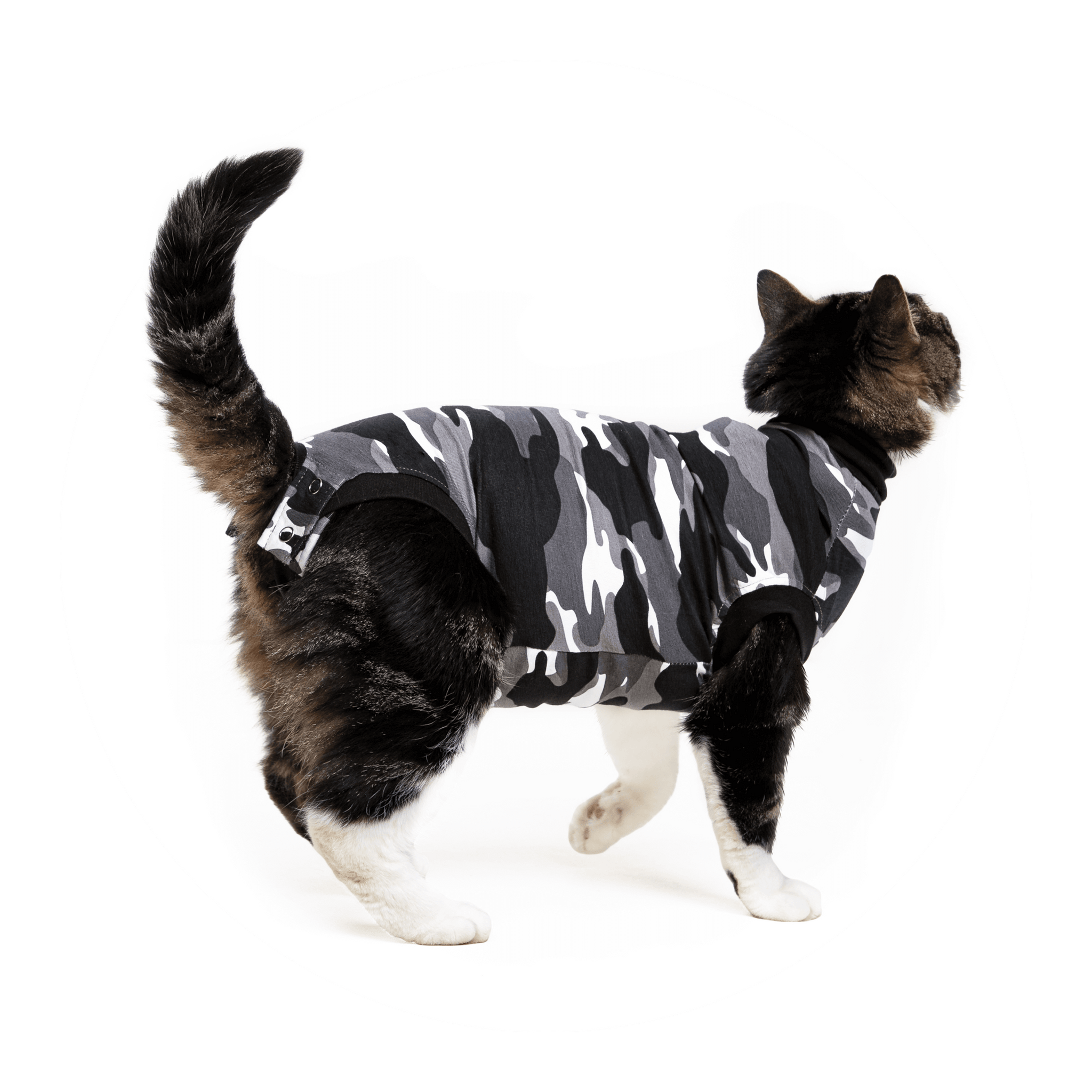SUITICAL Recovery Suit Tiger Print – Happy Cat Feline Essentials