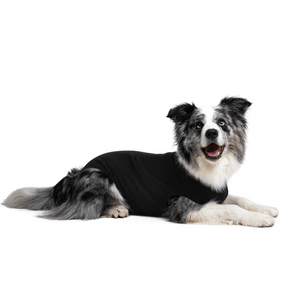 SUITICAL RECOVERY SUIT DOG BLACK XLG – Tail Blazers - Copperfield