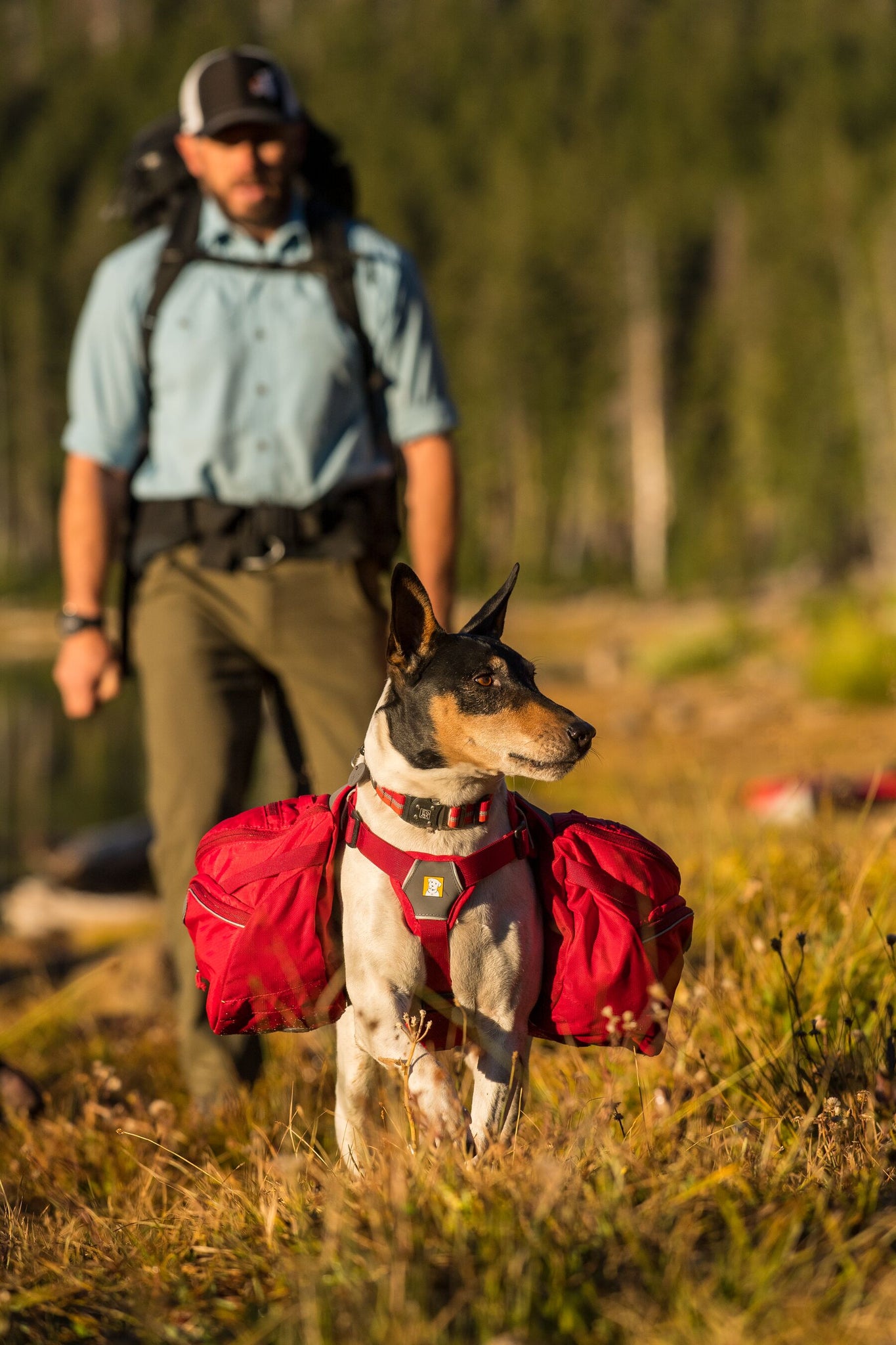 RUFFWEAR PALISADES PACK SM Tail Blazers Copperfield