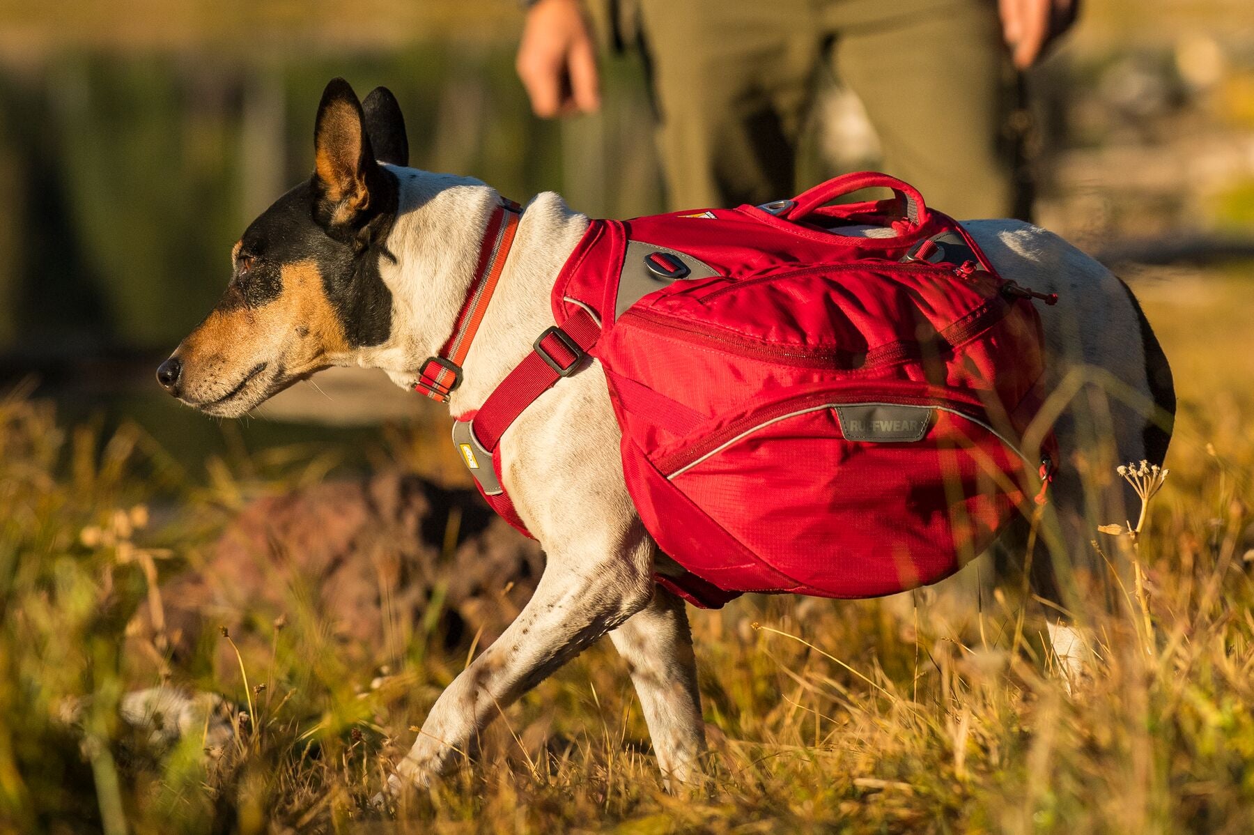 RUFFWEAR PALISADES PACK SM Tail Blazers Copperfield